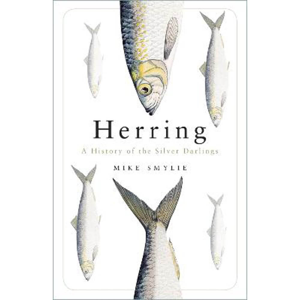 Herring: A History of the Silver Darlings (Paperback) - Mike Smylie